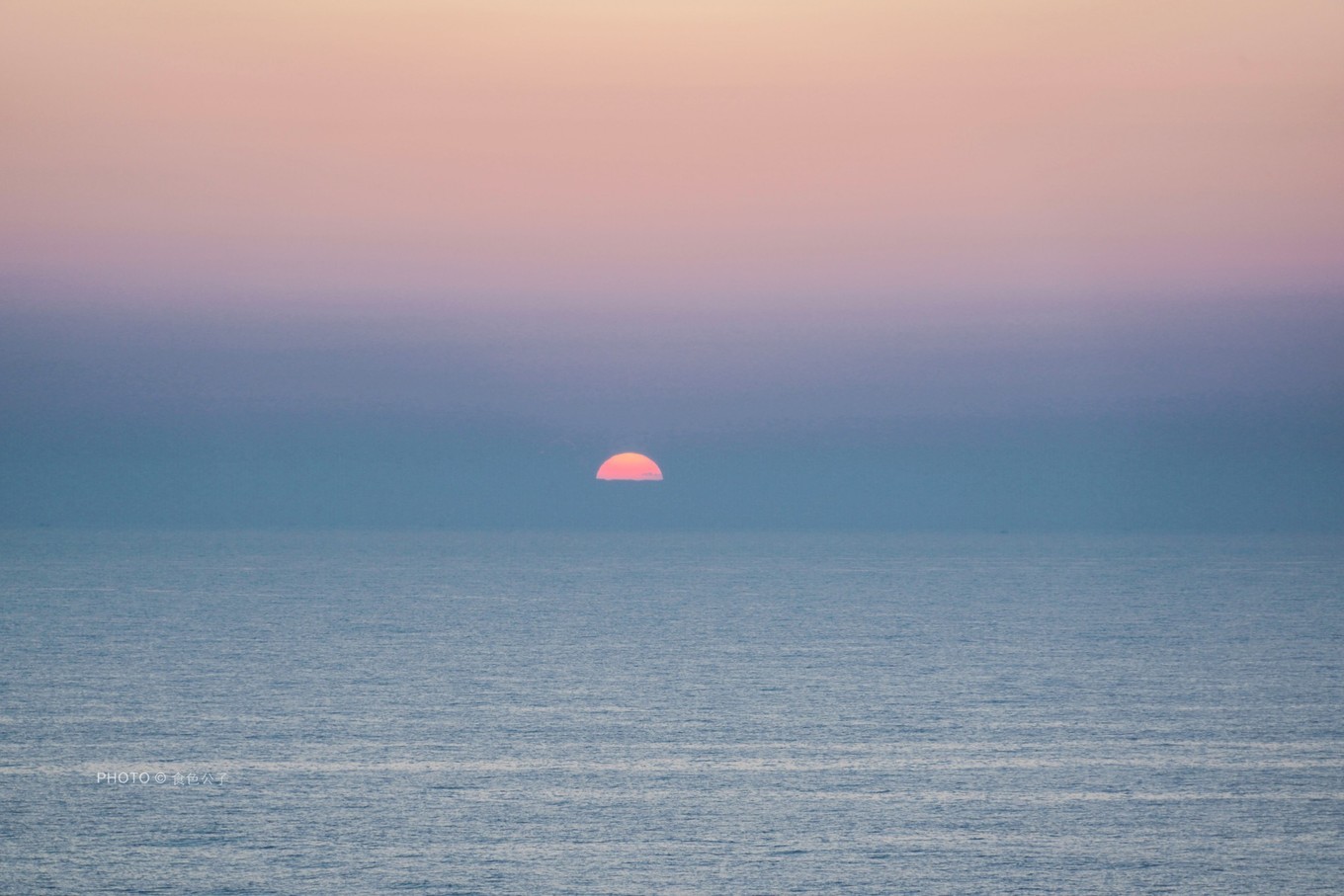 海上养猪场邮轮,海洋光谱号邮轮海上养猪场