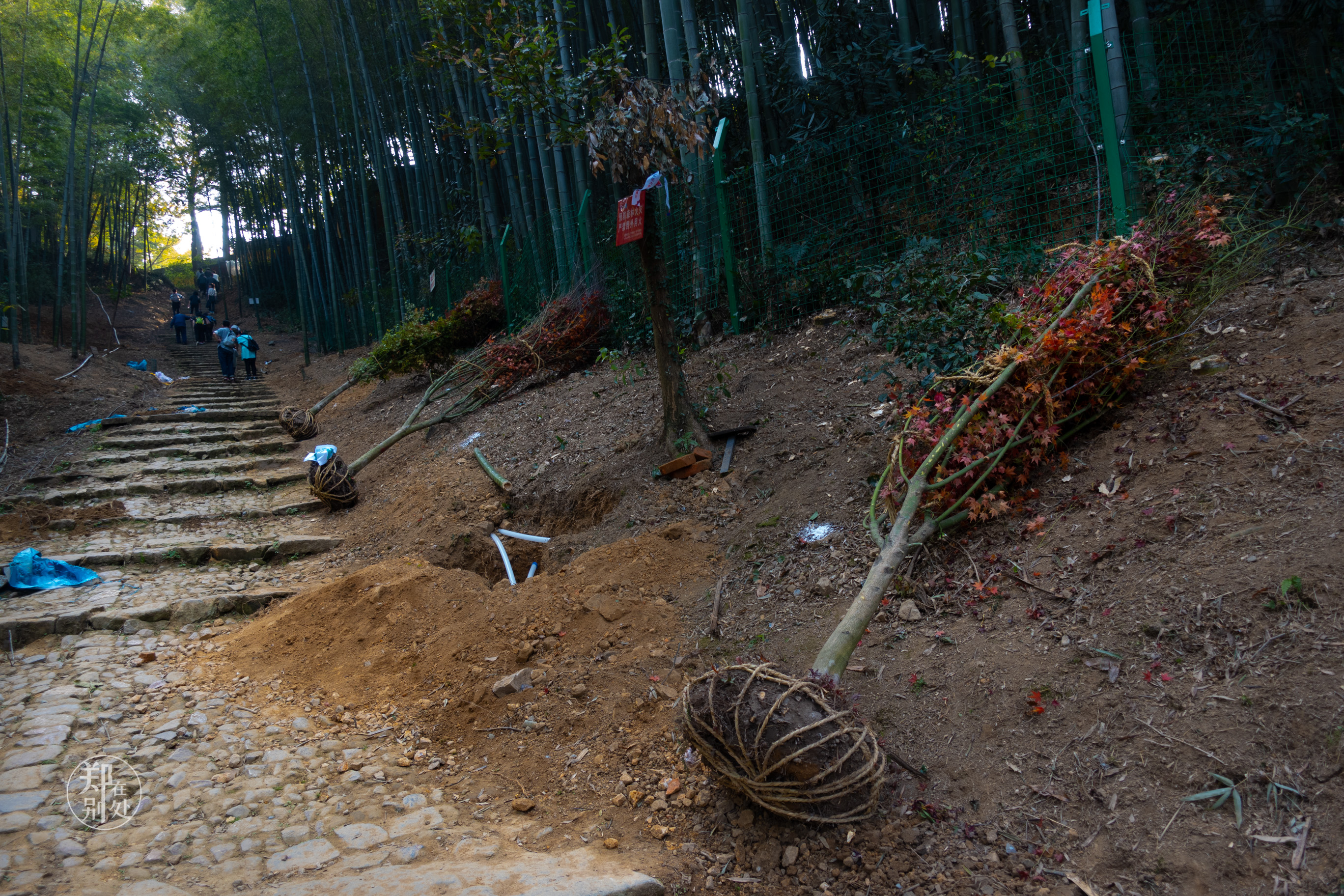 杭州登山徒步经典路线图最新,杭州登山路线