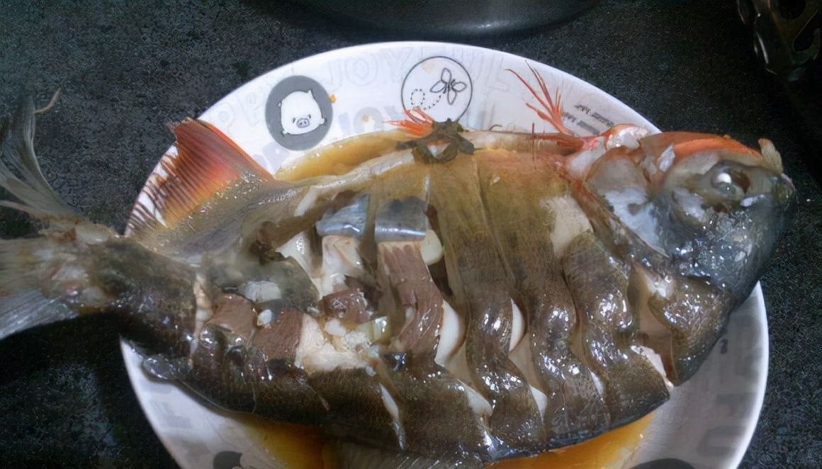 食人鱼咬死甲鱼事件,食人鱼钓鲶鱼视频