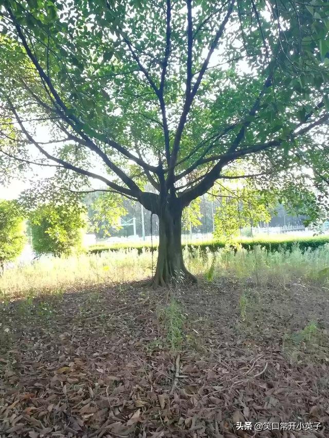 曾经十几万人的大厂,万人大厂搬迁最新消息