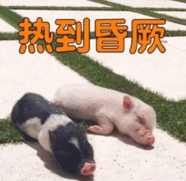 抗老和美白怎么用效果比较好,抗老和美白哪个更适合夏天