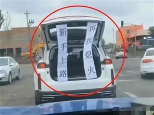 女司机上路带护身符，看清纸上汉字后，路人：谁敢惹？