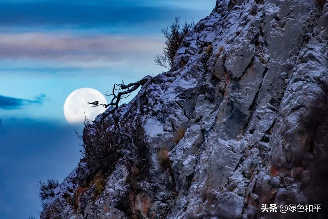 自然合伙人|“三江主人”彭建生：建一座图像喜马拉雅的藏族汉子