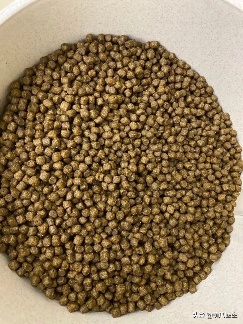 go猫粮吃了会黑下巴吗,go猫粮吃了拉黄水