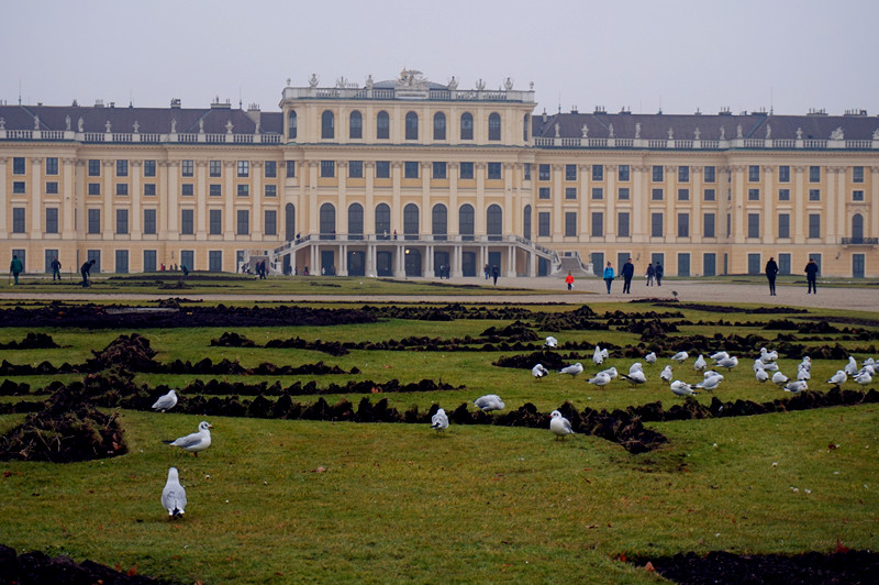 奥地利音乐之都,奥地利维也纳音乐