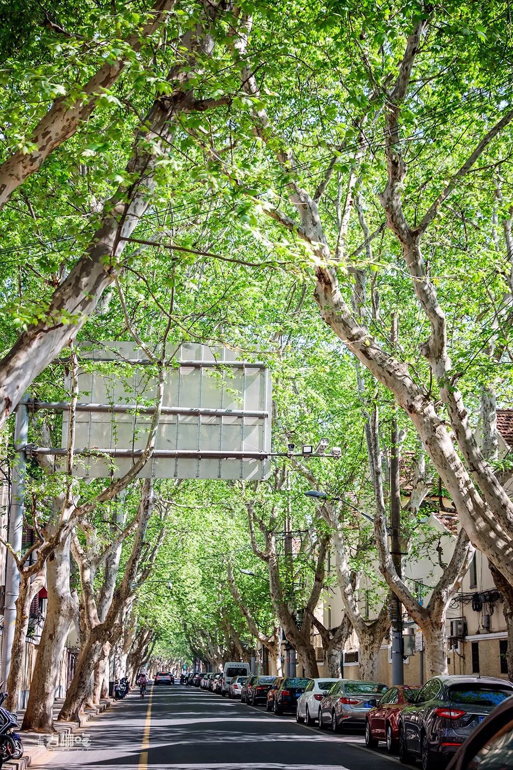 上海国庆小众旅行攻略路线图,上海出发国庆旅游攻略推荐