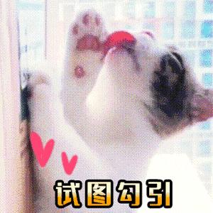 干货知识你知道多少,干货看懂的都是高手