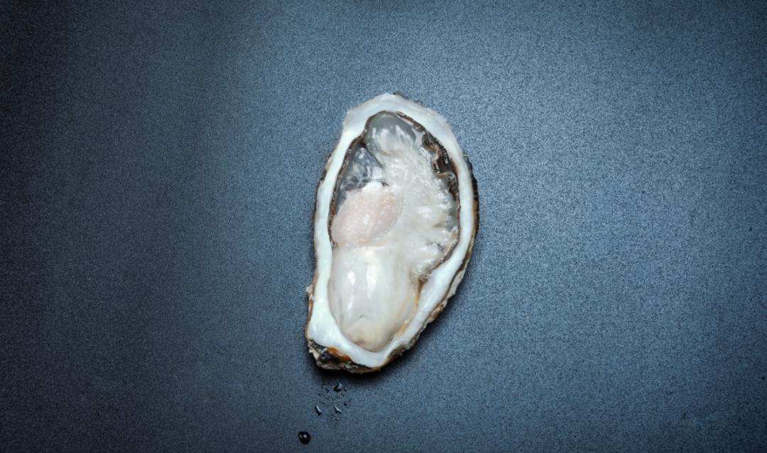 从北纬20°到43°,跟着生蚝走遍祖国海岸线