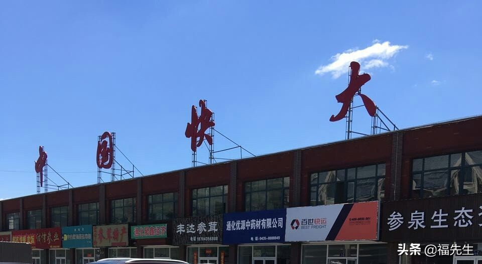 人参辨识,人参鉴赏