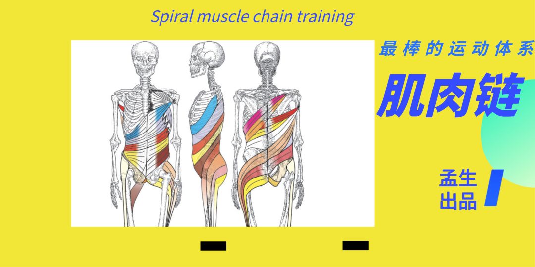 完美的运动模式——肌肉链运动