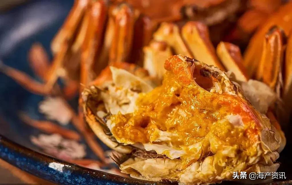 哪里大闸蟹可以媲美阳澄湖大闸蟹,阳澄湖大闸蟹和精品大闸蟹的区别