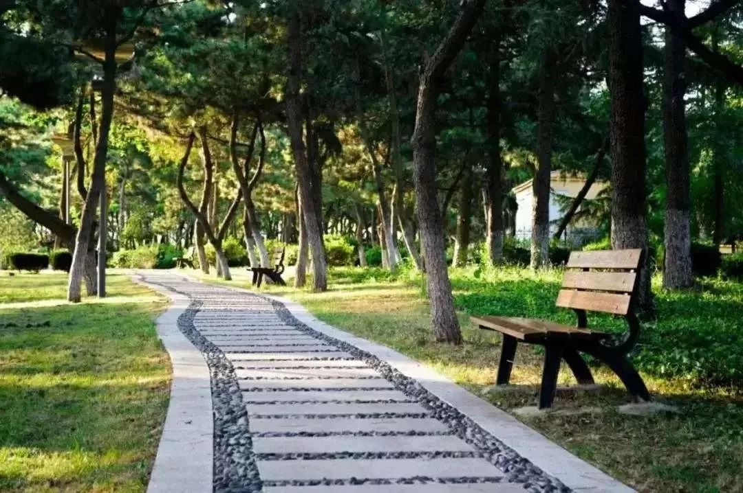 每日一校南通大学,每日一校