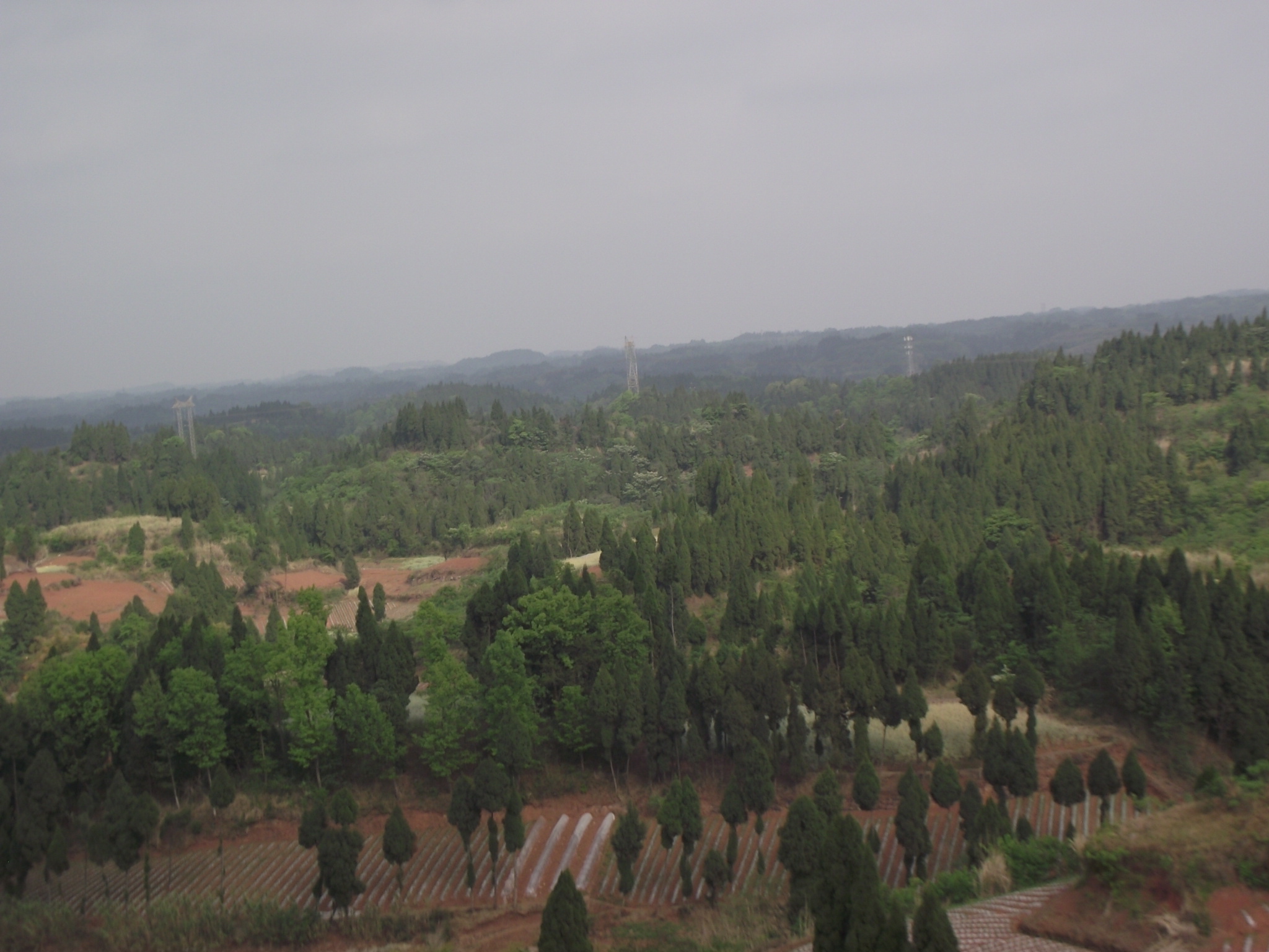 基站维护员学徒,辛苦的后勤维修工