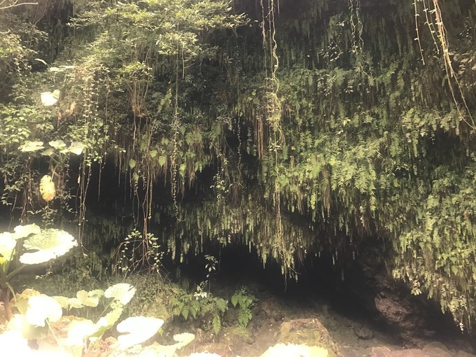 海口约会一日游,海口夜晚适合约会浪漫的地方