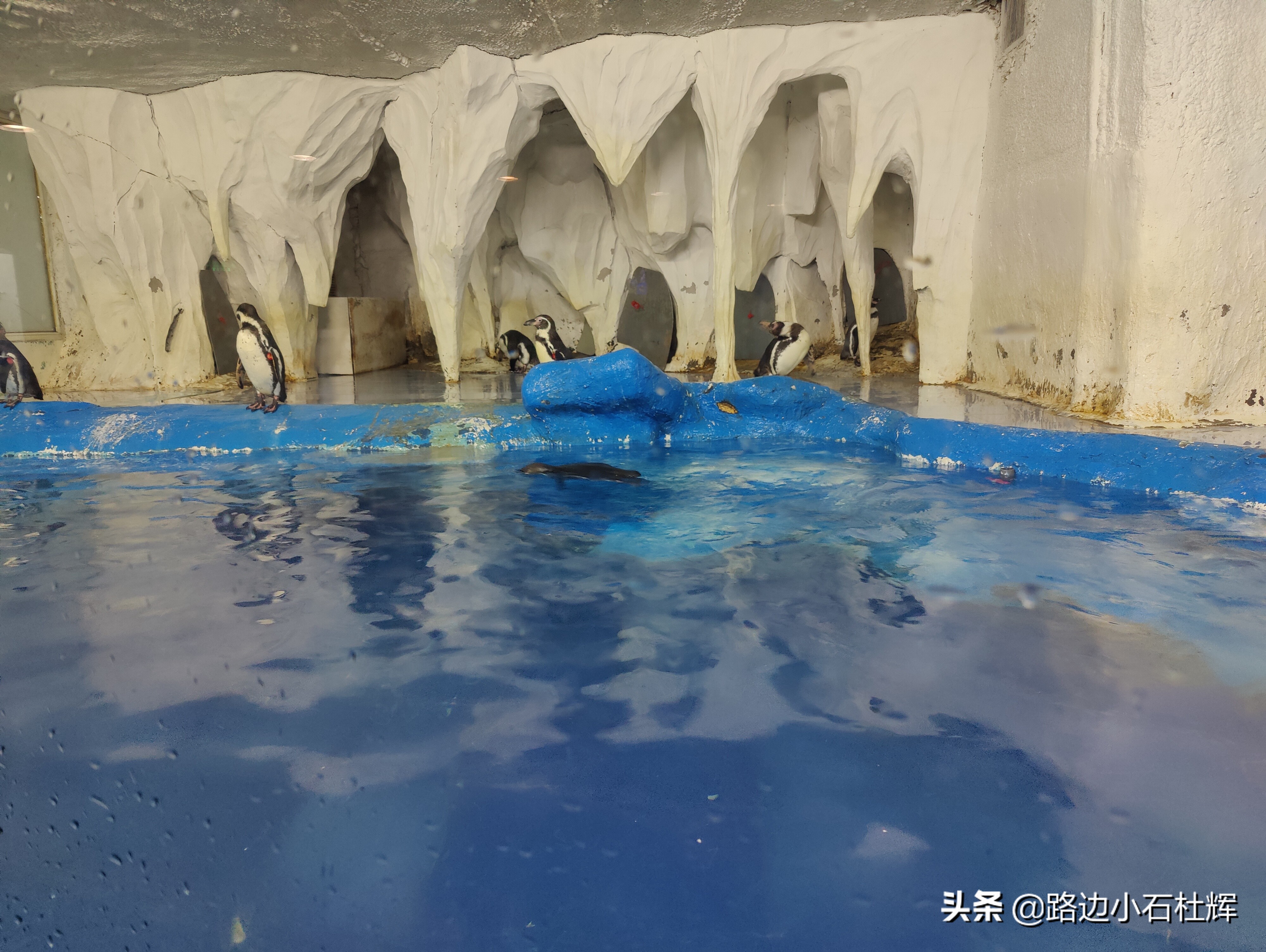 北京海洋馆游玩一览表,北京太平洋海洋馆海底世界