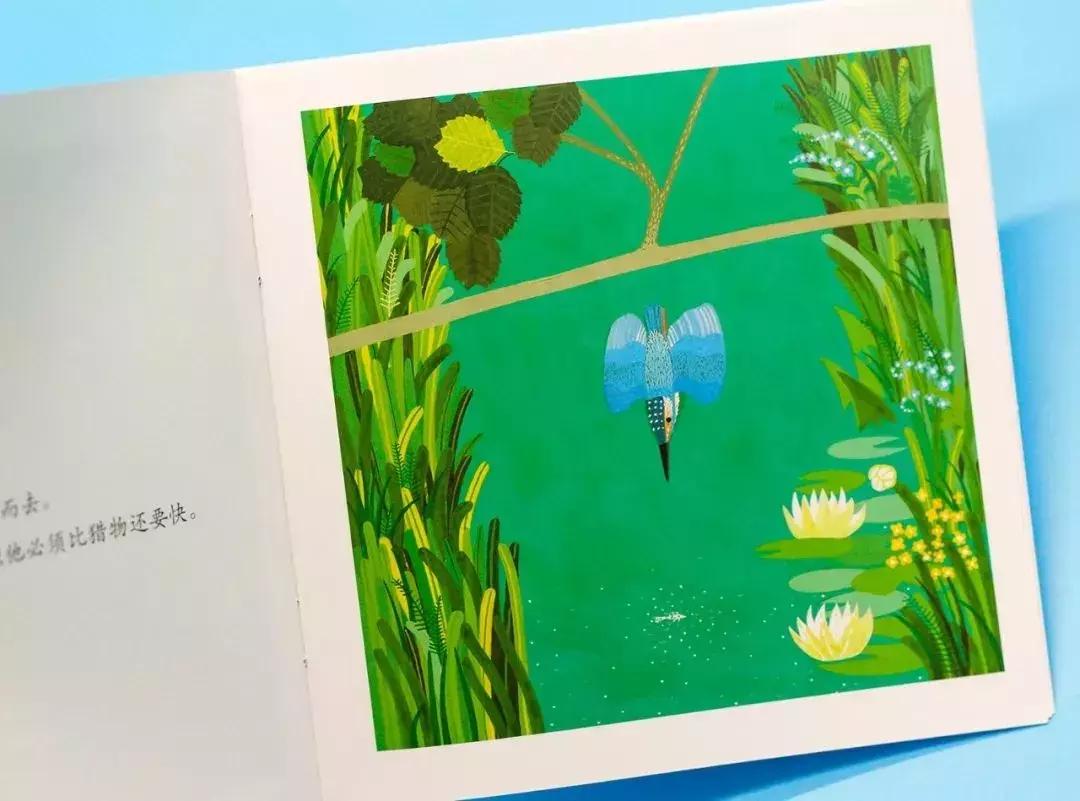 意大利畅销童书,意大利绘本世界十大著名童话