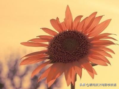 it单词记忆技巧,单词iterable怎么读