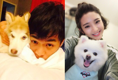 张若昀唐艺昕结婚请柬赠语,张若昀和唐艺昕婚礼宣言