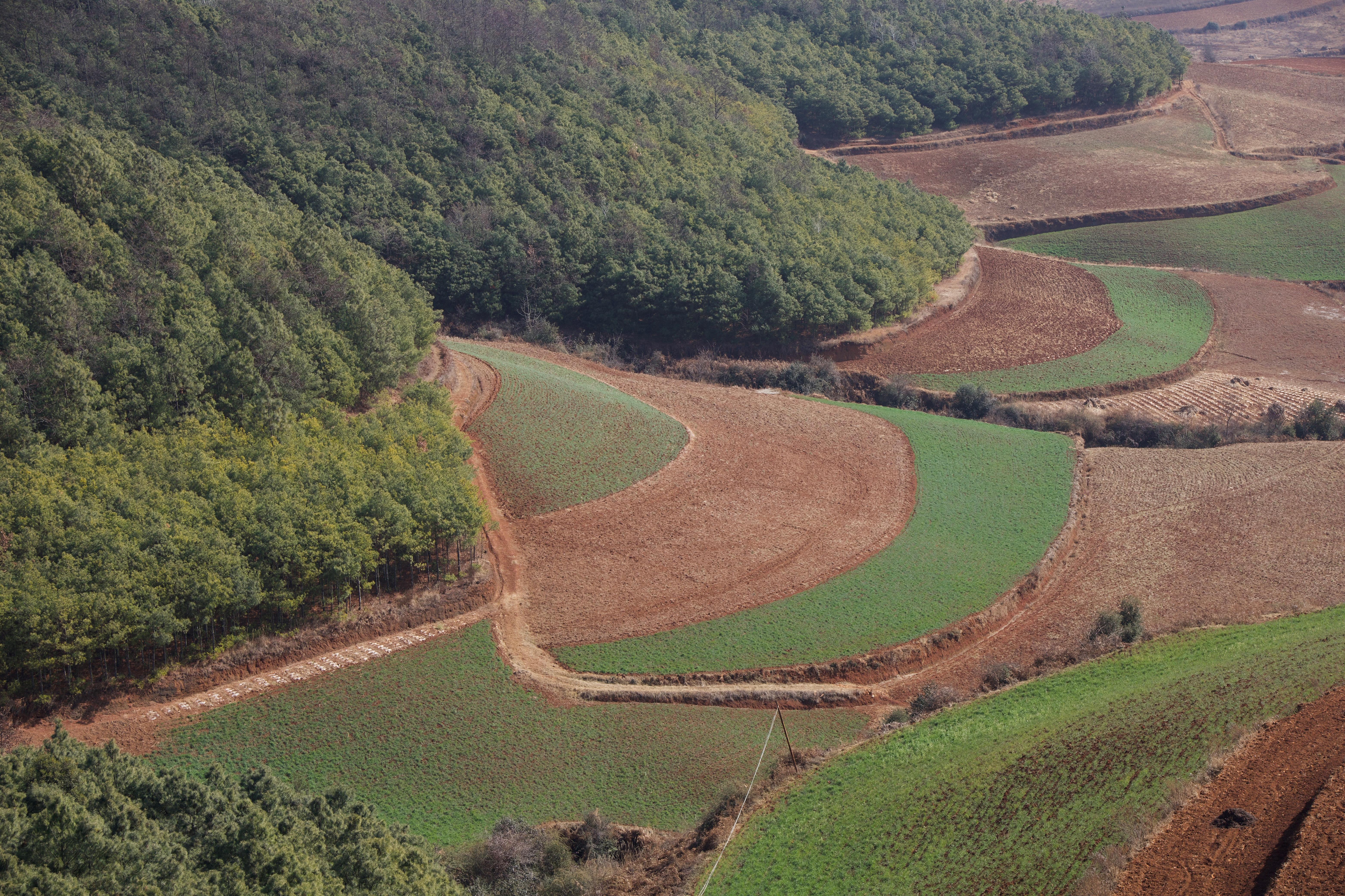 云南东川红土地调色板,东川红土地大自然调色板