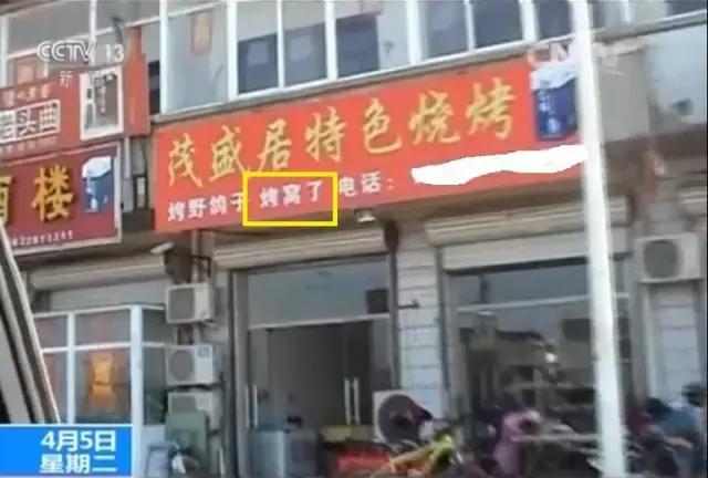 从禾花雀到云雀，又一种鸟快被中国人吃绝种了！