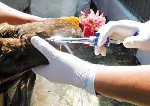 值传递和引用传递简单例子,值的传递是单向还是双向