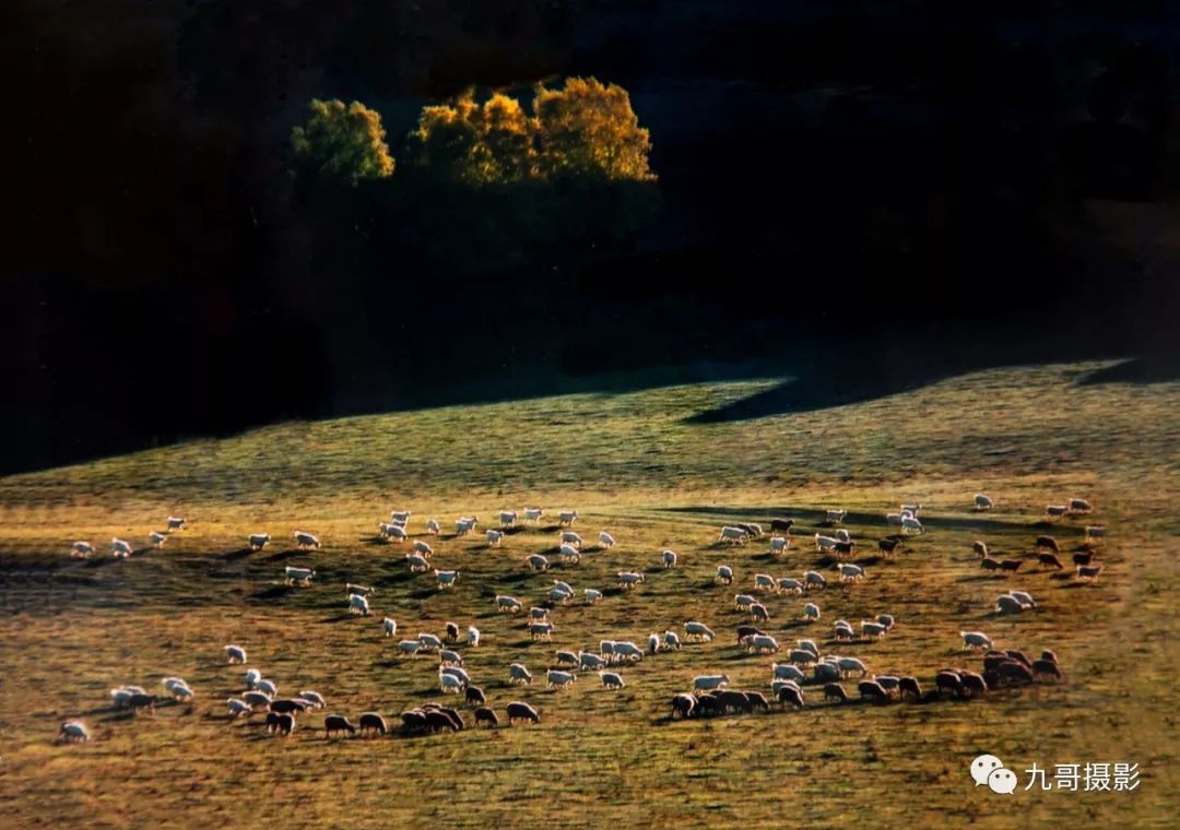大美坝上草原全景,大美坝上风光系列之一