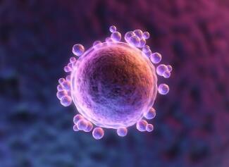 做试管婴儿哪些问题最需要注意,做试管婴儿的女性最容易得什么病