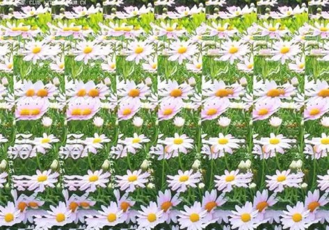 有意思的三维视频,有意思的图片配图