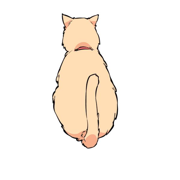 猫咪尾巴竖起来是什么意思,猫咪尾巴各种姿态含义