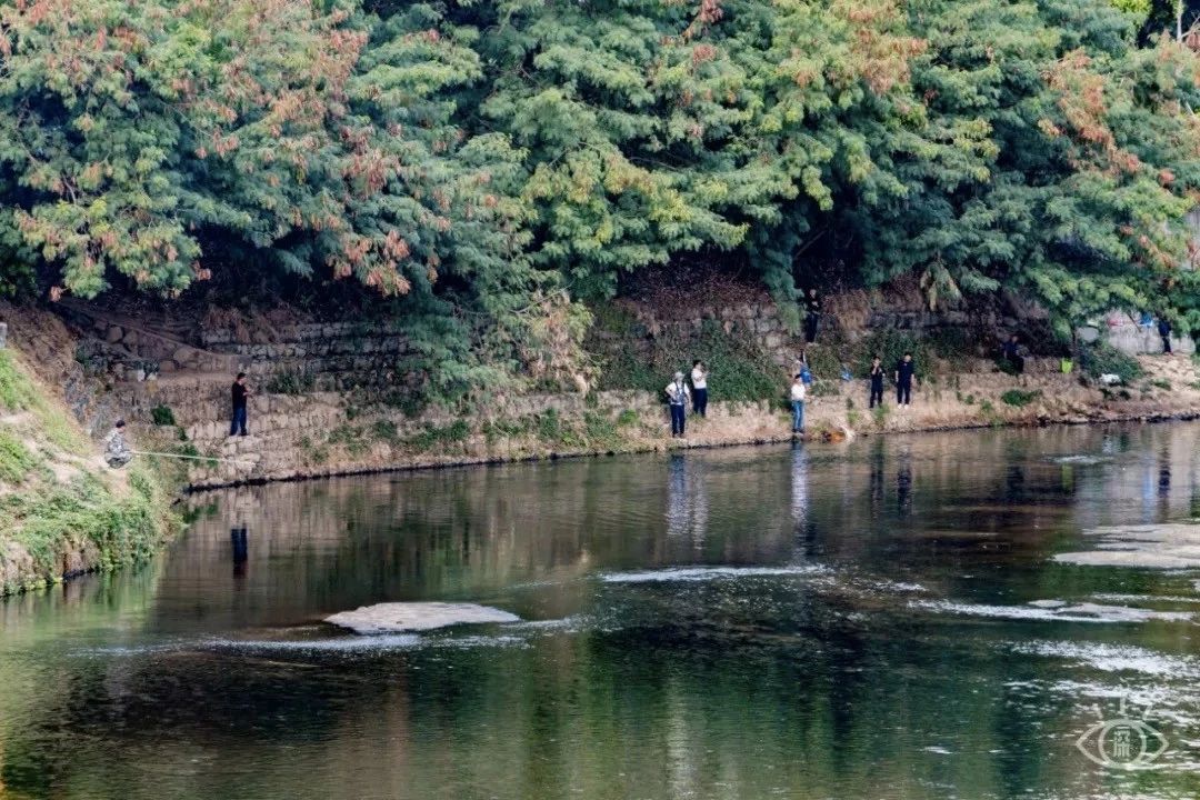 深圳游玩最佳地点排行榜前十名,深圳适合小孩游玩最佳地方推荐