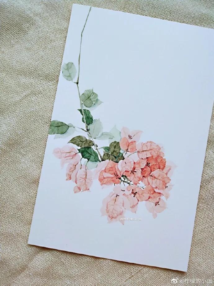 分享一组好看的小清新水彩插画,不来看看简单水彩小插画的教程吗