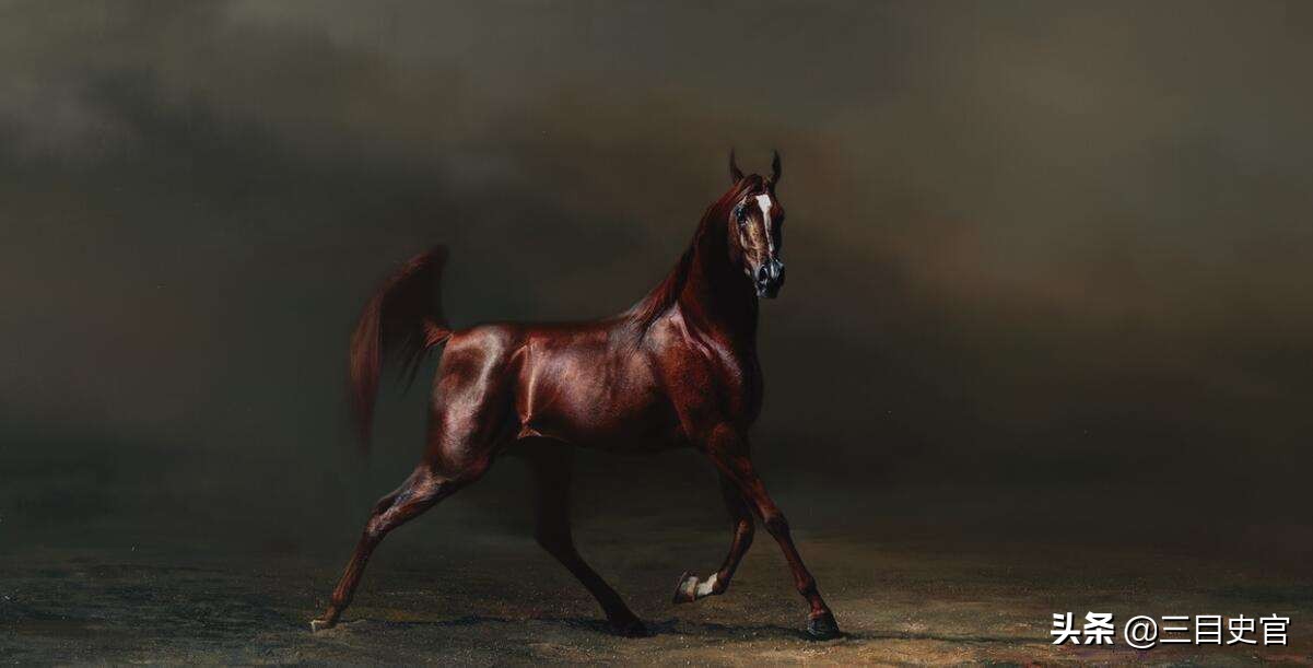 中国汗血宝马起源,我国现在还有纯正的汗血宝马吗