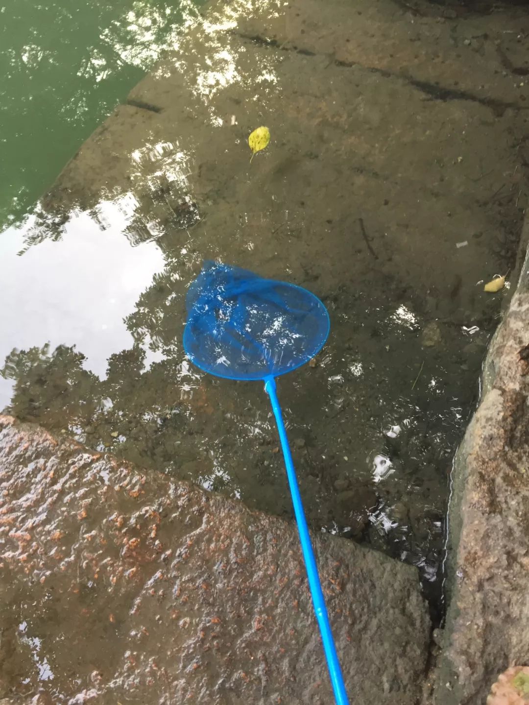 同里古镇值得去么,同里古镇值得去吗