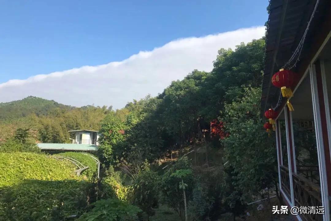 清远大角禾场生态温泉民宿,清远三坑私人温泉民宿