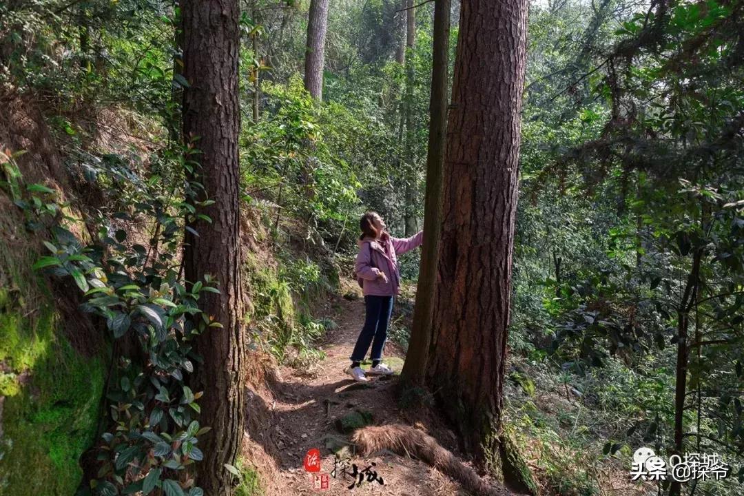 重庆爬山推荐险峻,重庆峭壁悬崖景区