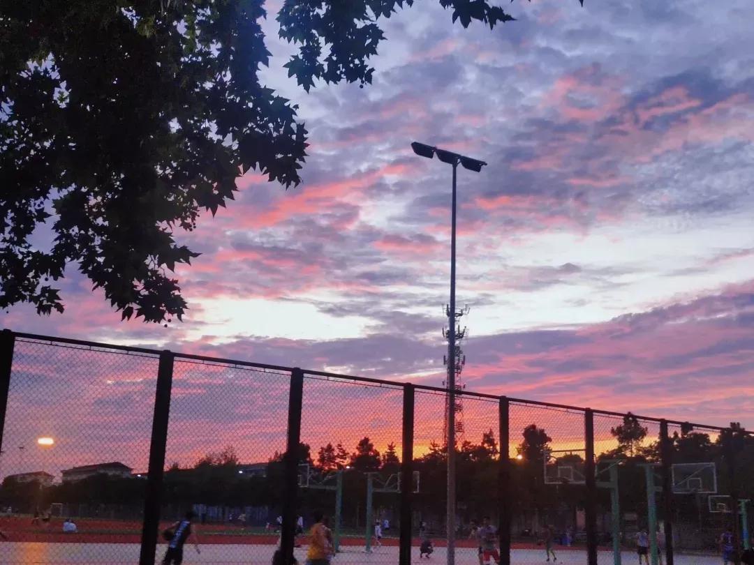 安徽省合肥师范学院2024招生简章,安徽省合肥师范学院今年投档线