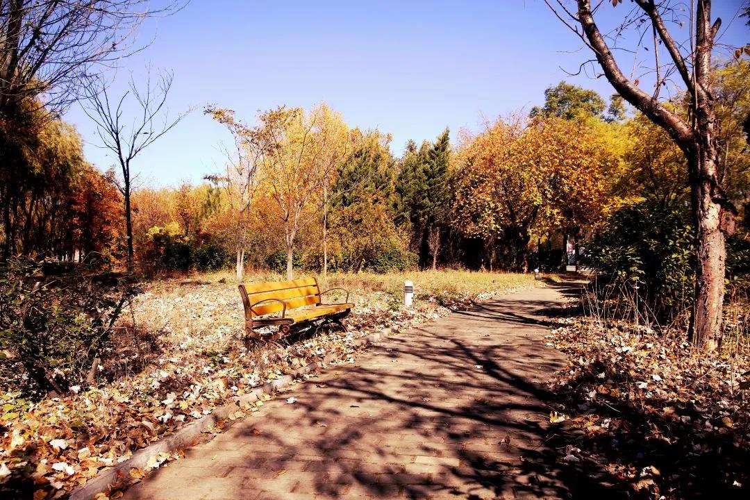 辽宁省普通高等院校（二十五）沈阳工程学院