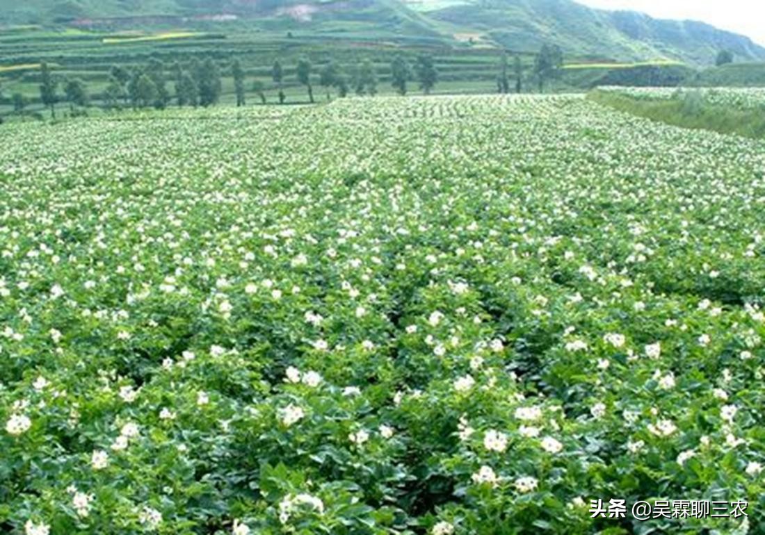 入窖后温度变化及应对,粮食入窖温度高低有什么作用