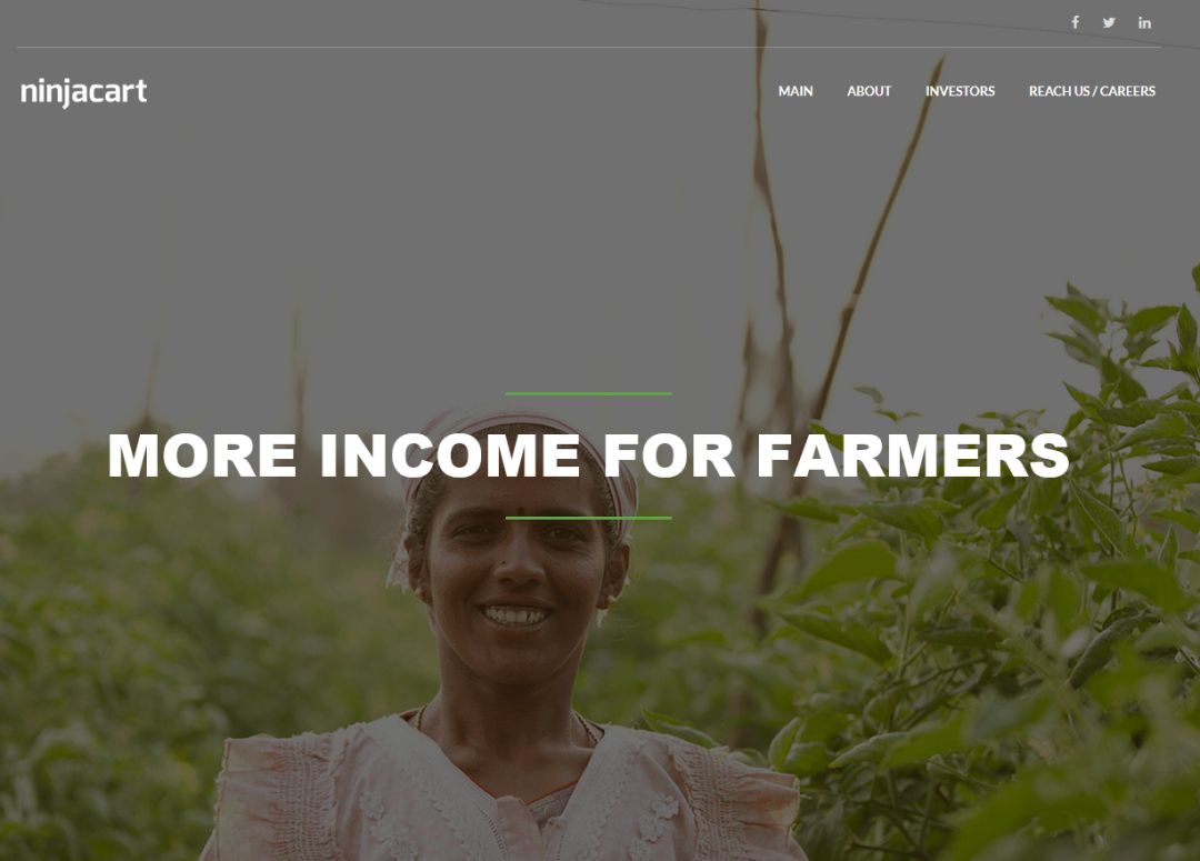 极品两声ok.vip和zb.vip超百万成交！英文米Zoom.com被终端收购！