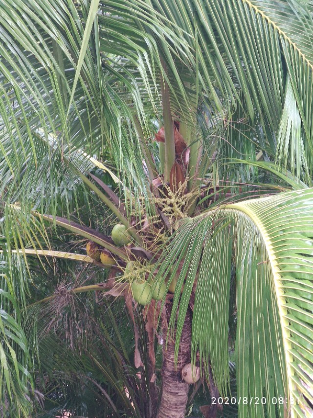 三亚四日游攻略可以去哪里,三亚四日游旅游攻略路线