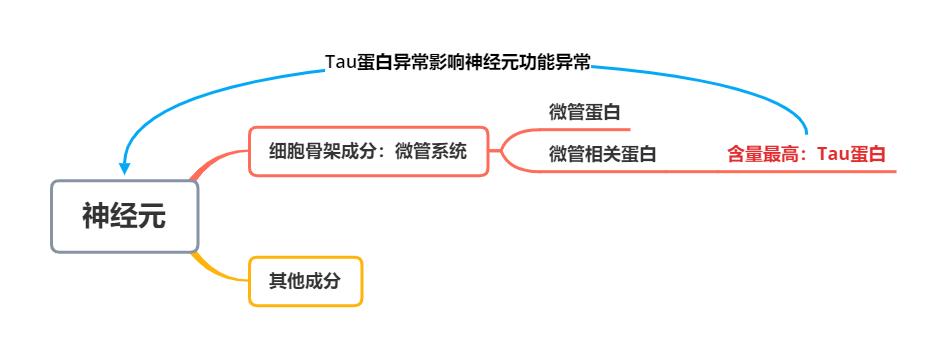 重磅研究成果!科学家在小鼠模型中发现改善自闭症核心症状新方法