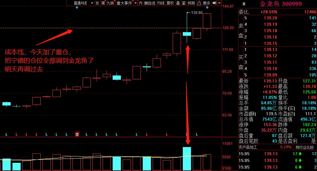 什么叫龙头股票,什么是龙头股怎么找