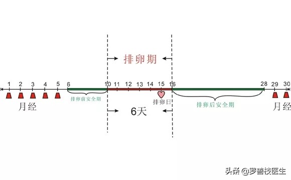 如何提高怀孕几率,如何提高双胞胎的怀孕几率