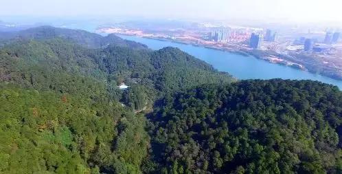 百里柳江“龙凤胎”，这块地为什么这么贵？玄机在这里