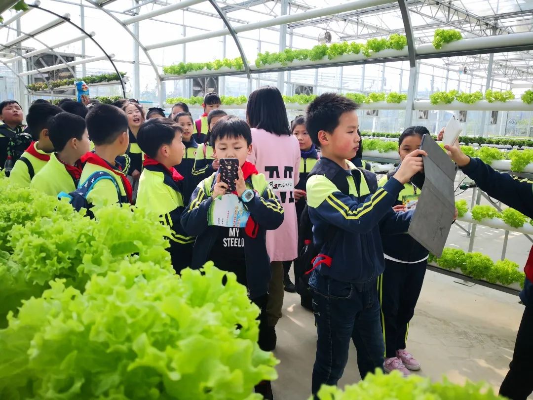 蓝城史诗级田园巨著，或将引领十万武汉人“上山下乡”