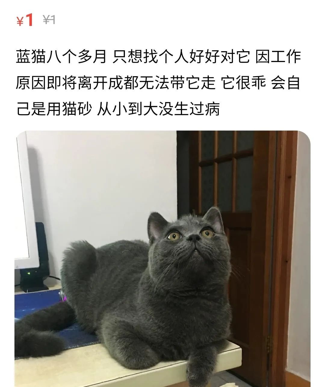 失业降薪的青年们，正在二手平台上抛售所有家当