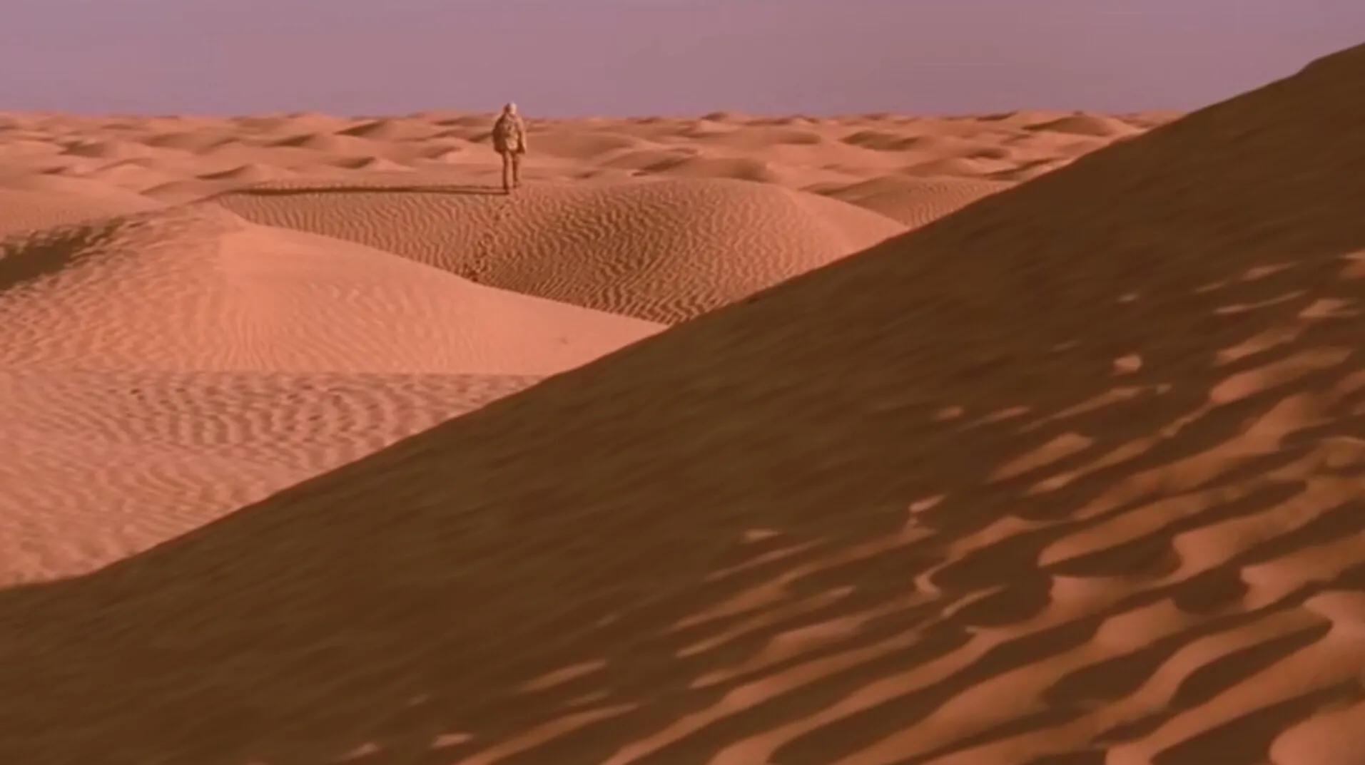 英国病人英文原版,英国病人电影的主题