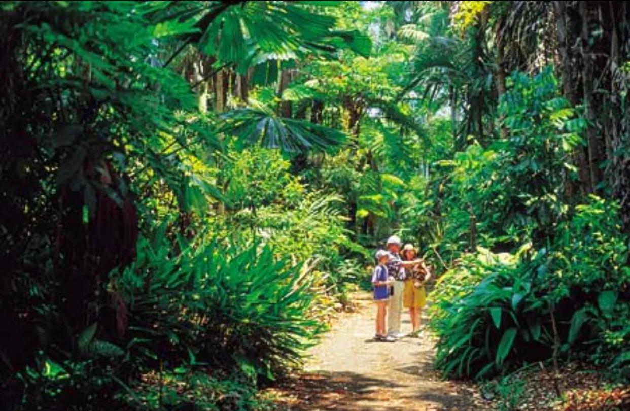 巴戟天的药理作用及临床应用,巴戟天医学科普