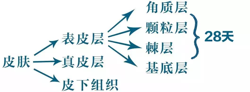 王鸥推荐的精华水,欧阳娜娜推荐的乳霜