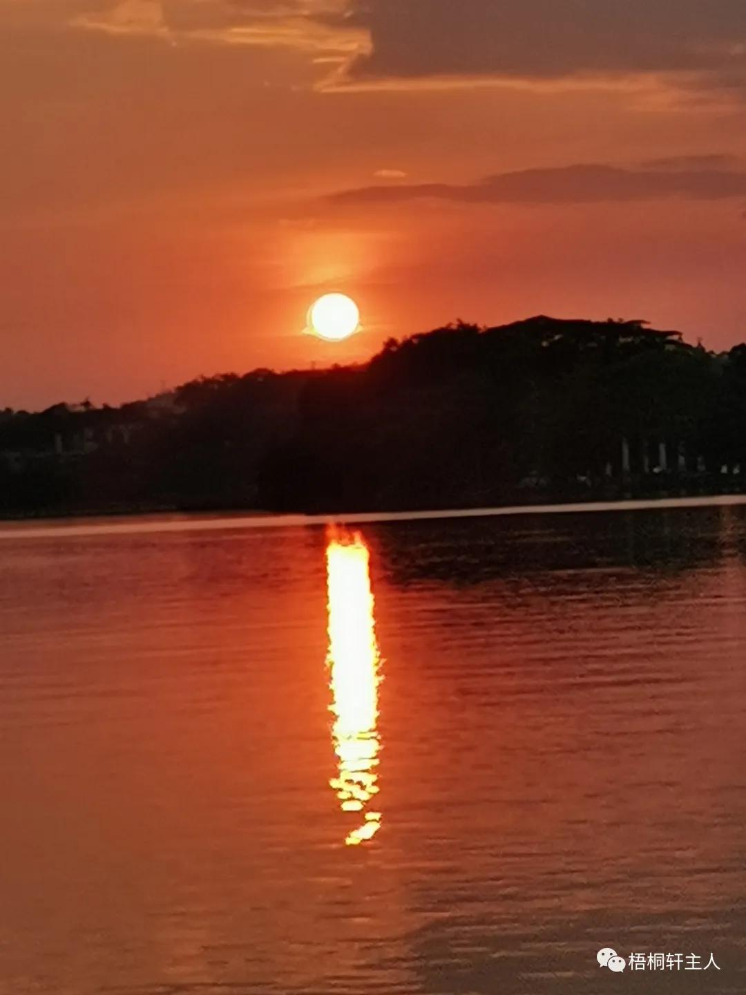 五彩斑斓秋之美,最美广州秋